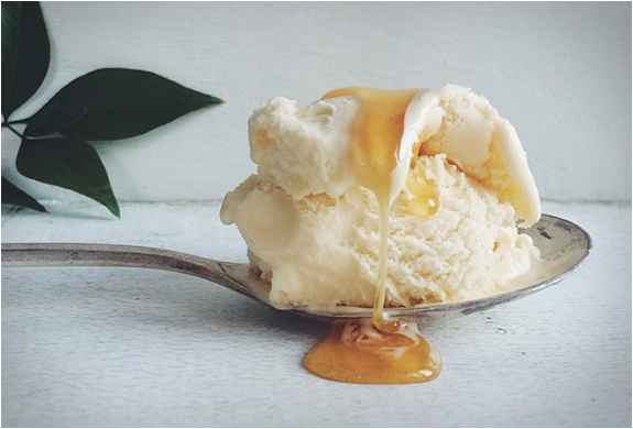 bees-knees-spicy-honey-4.jpg | Image