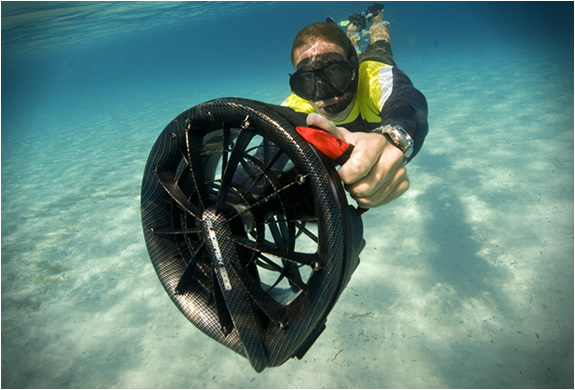 bladefish-2.jpg | Image