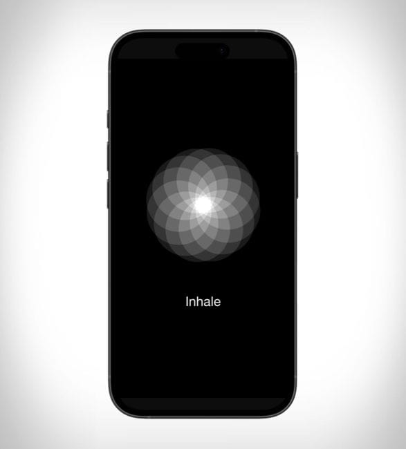 blank-spaces-app-4.jpg | Image