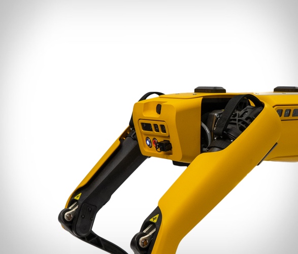 boston-dynamics-spot-robotic-dog-3.jpg | Image