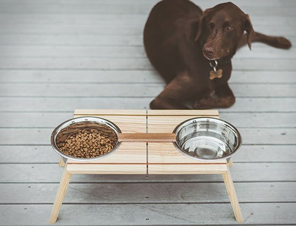bottoms-up-pet-dish-5.jpg | Image