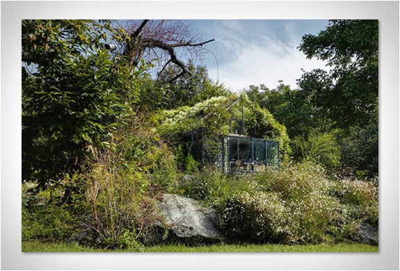 cabins-taschen-9.jpg