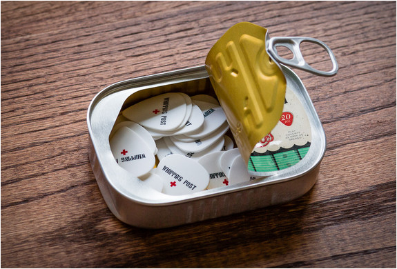 canned-guitar-picks-whipping-post-2.jpg | Image