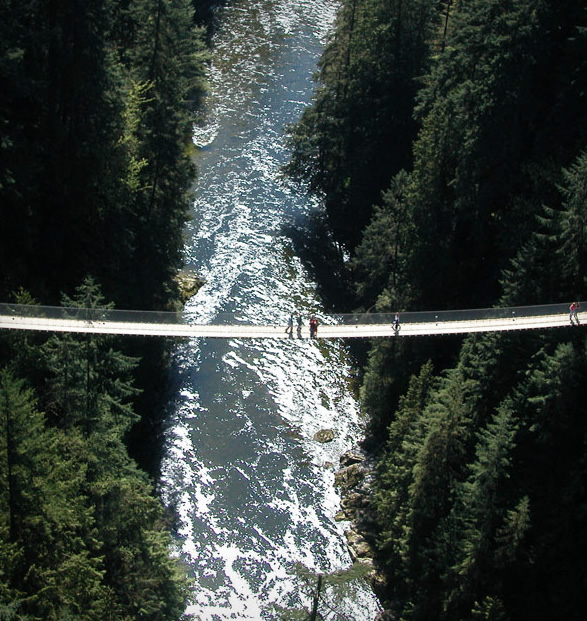 capilano-suspension-bridge-park-10.jpg