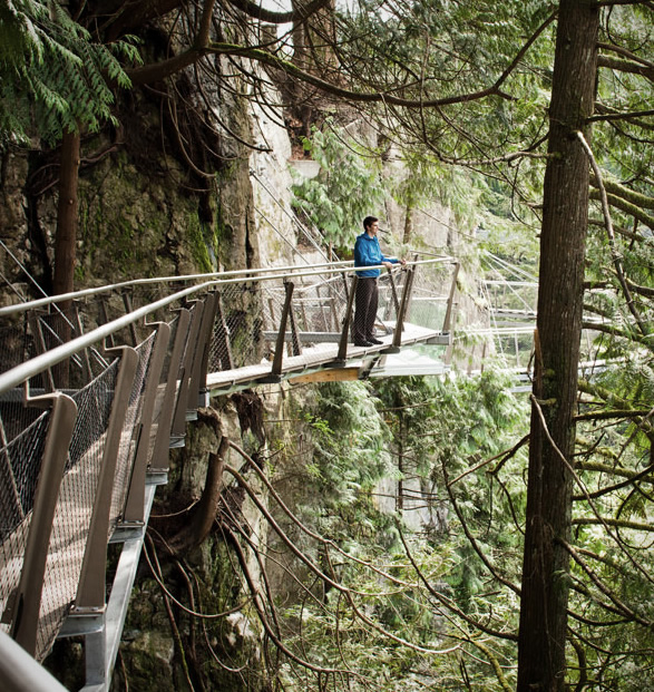 capilano-suspension-bridge-park-11.jpg