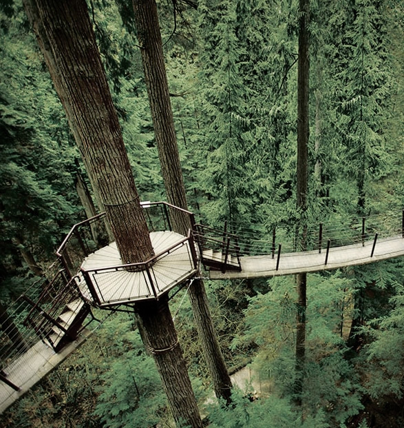 capilano-suspension-bridge-park-14.jpg
