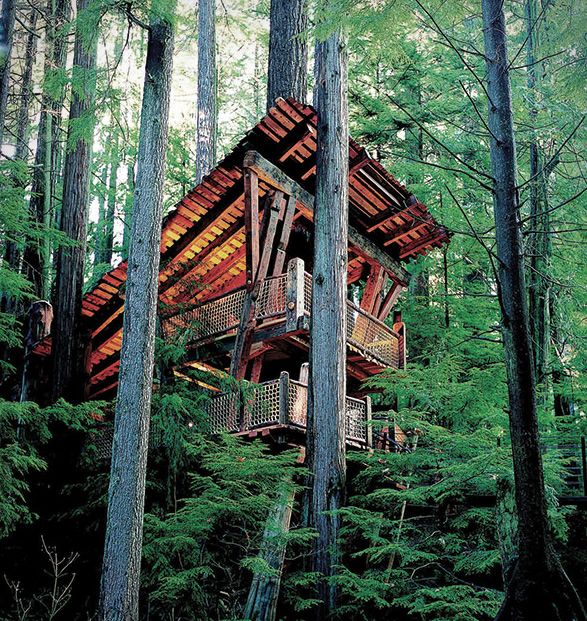 capilano-suspension-bridge-park-15.jpg