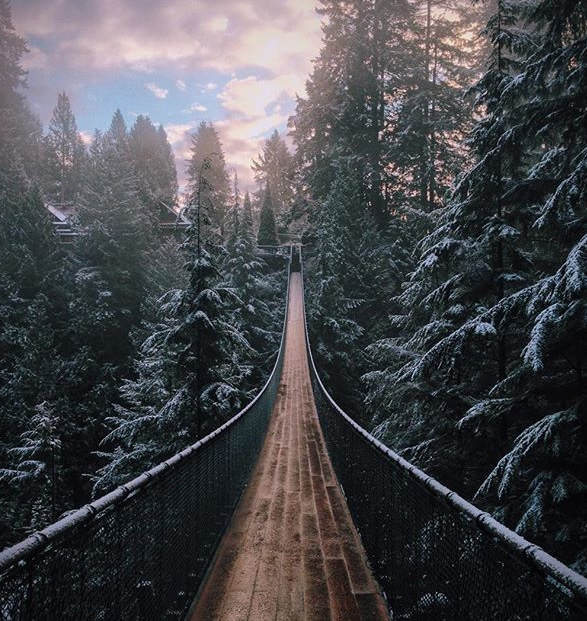capilano-suspension-bridge-park-17.jpg