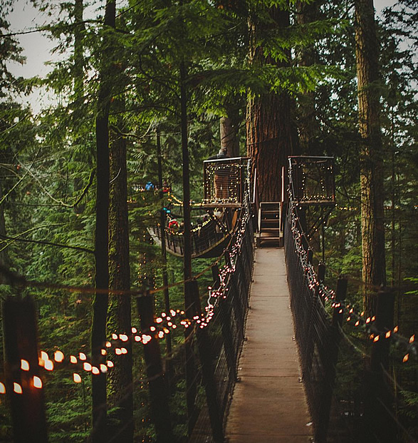 capilano-suspension-bridge-park-18.jpg