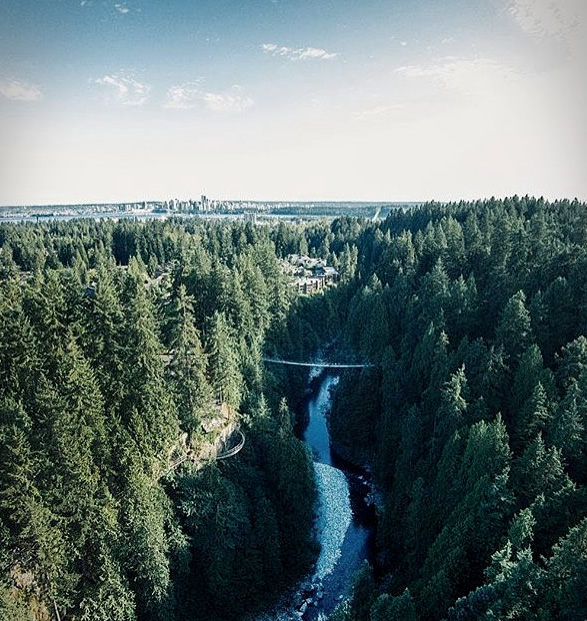 capilano-suspension-bridge-park-19.jpg
