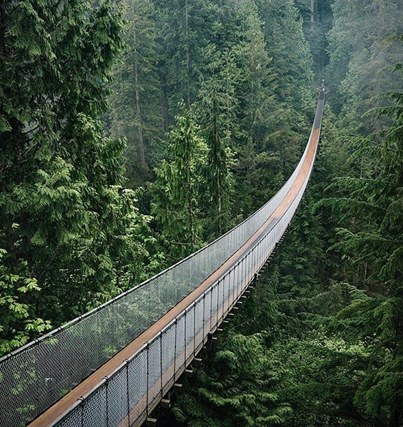 capilano-suspension-bridge-park-2.jpg | Image