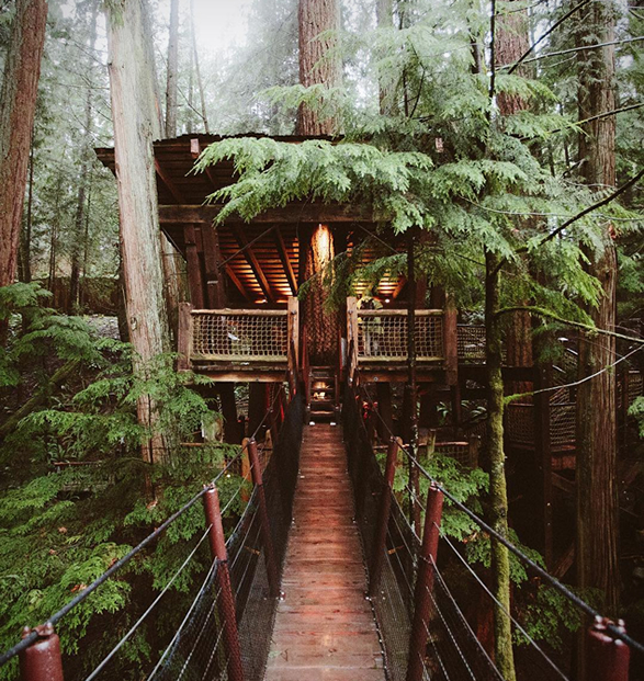 capilano-suspension-bridge-park-4.jpg | Image