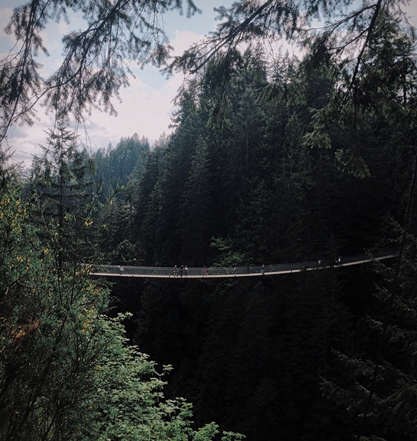 capilano-suspension-bridge-park-5.jpg