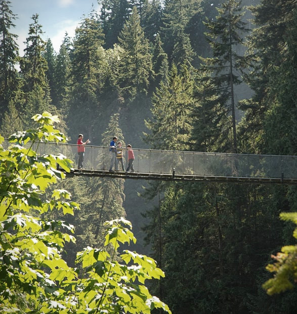 capilano-suspension-bridge-park-8.jpg