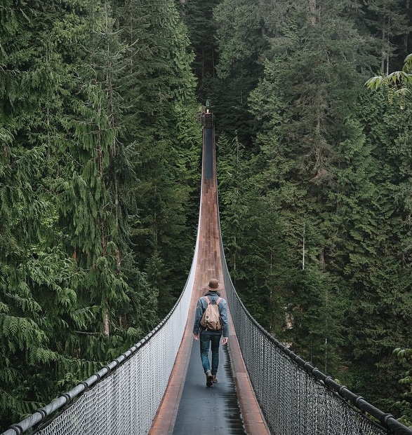 capilano-suspension-bridge-park-9.jpg | Image