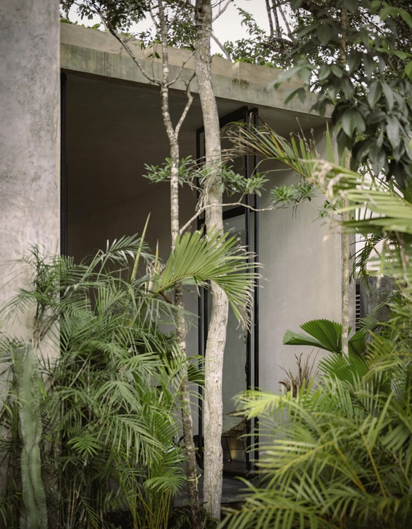 casa-aviv-18.jpg