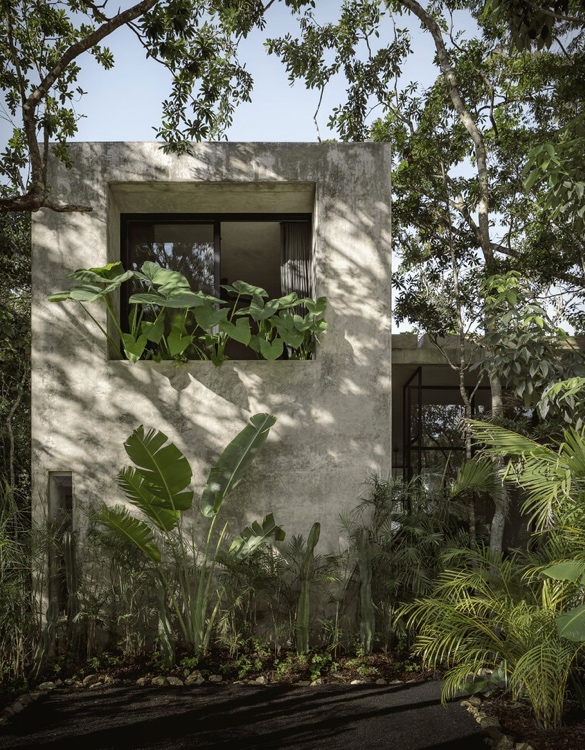 casa-aviv-19.jpg