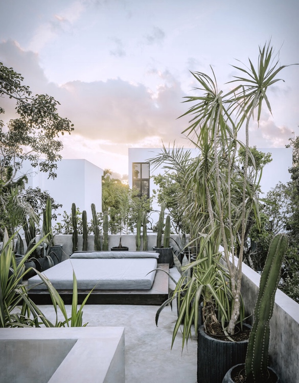casa-aviv-23.jpg