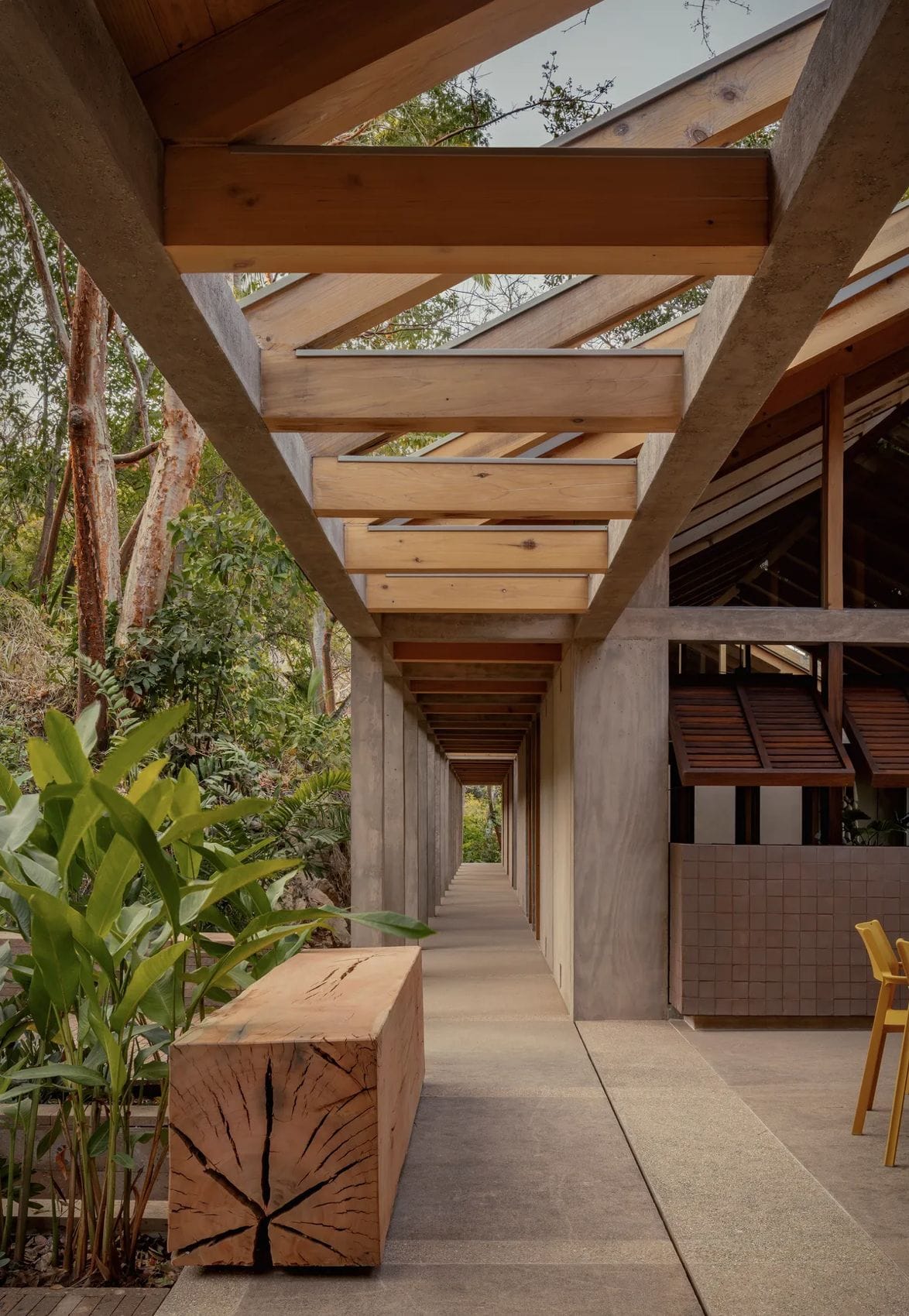 casa-de-las-aves-4.jpg | Image