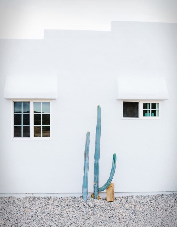 casa-mami-11.jpg