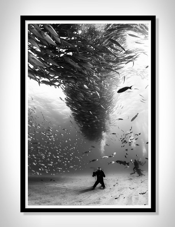 christian-vizl-ocean-prints-6.jpg