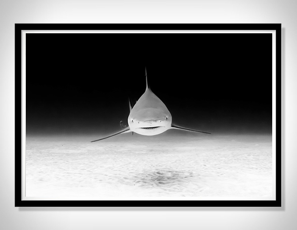 christian-vizl-ocean-prints-9.jpg