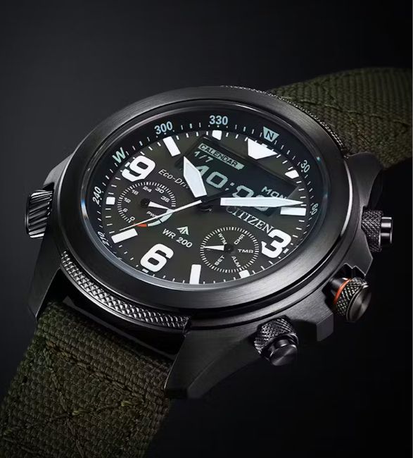 citizen-promaster-land-watch-4.jpg | Image