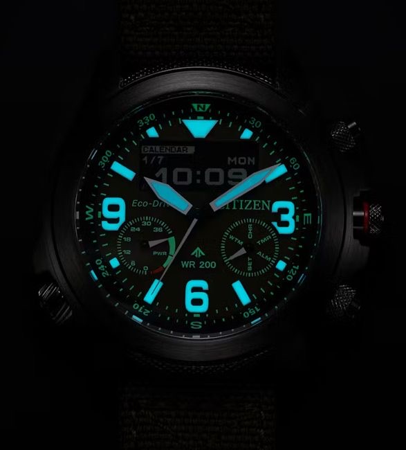 citizen-promaster-land-watch-6.jpeg