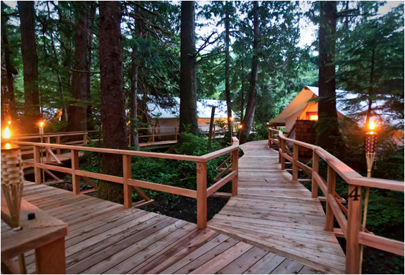 clayoquot-wilderness-resort-11.jpg