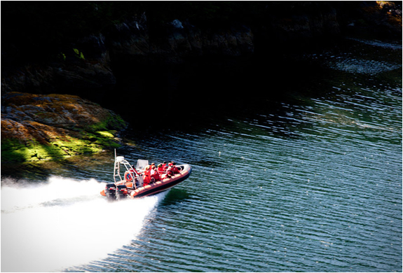 clayoquot-wilderness-resort-23.jpg