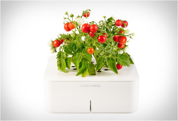 click-and-grow-2.jpg | Image