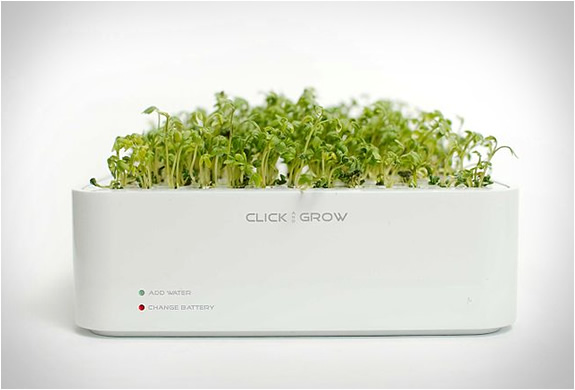 click-and-grow-3.jpg | Image