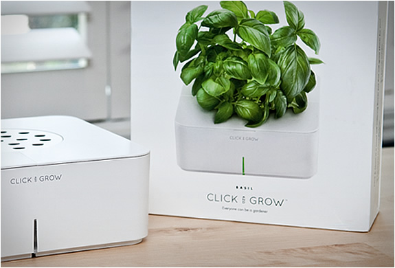 click-and-grow-4.jpg | Image