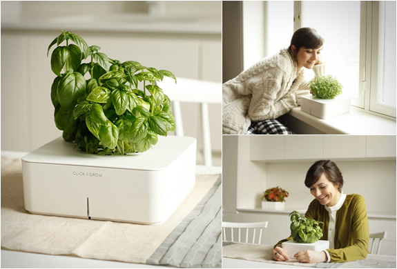 click-and-grow-5.jpg | Image