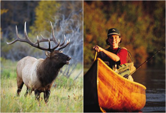 complete-outdoors-encyclopedia-3.jpg | Image