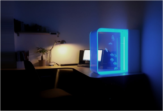 Cubic | Desktop Jellyfish Aquarium