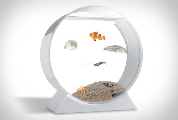 desktop-jellyfish-tank-3.jpg | Image
