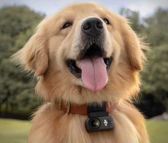 dji-osmo-nano-camera-8.jpg | Image