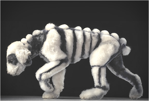 dogs-dogs-tim-flach-2.jpg | Image