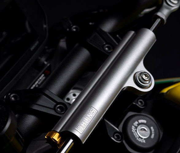 ducati-monster-senna-8.jpeg