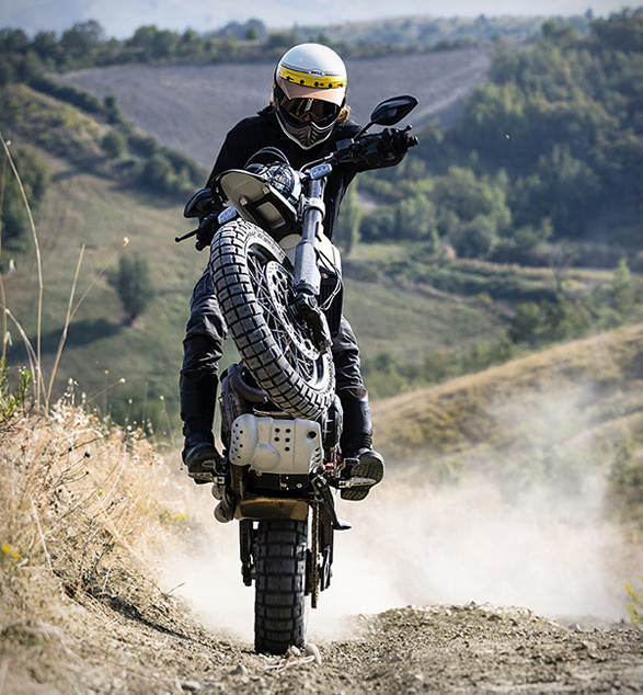 ducati-scrambler-desert-sled-11.jpg
