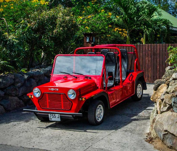 e-moke-10.jpg