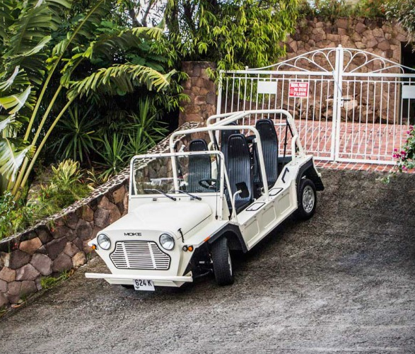 e-moke-12.jpg