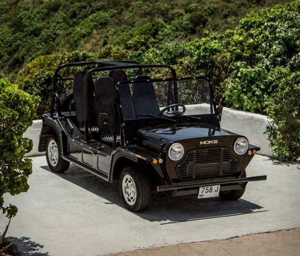 e-moke-9.jpg