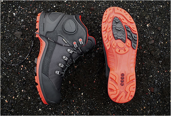 ecco-biom-terrain-4.jpg | Image