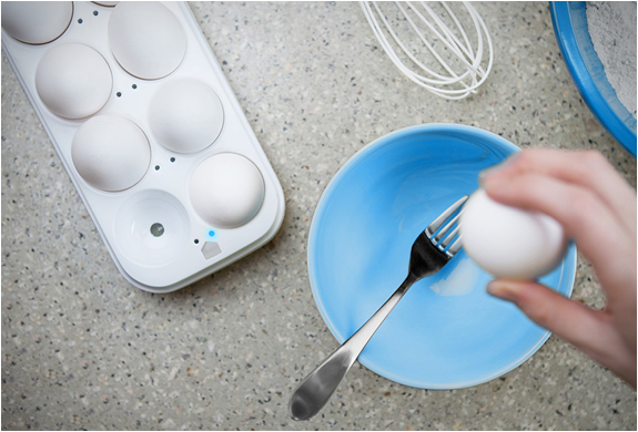 egg-minder-tray-3.jpg | Image