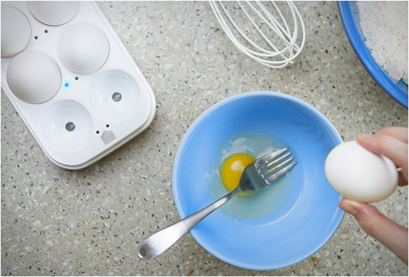 egg-minder-tray-4.jpg | Image