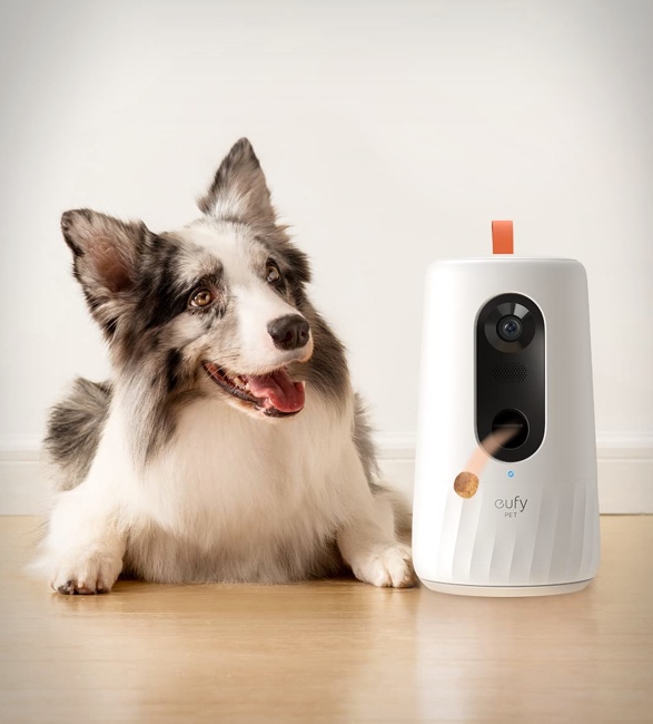 eufy-pet-camera-2.jpg | Image