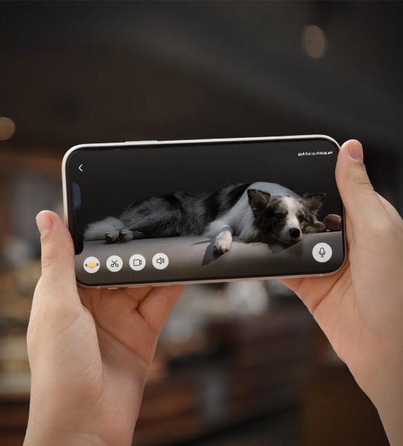 eufy-pet-camera-3.jpg | Image