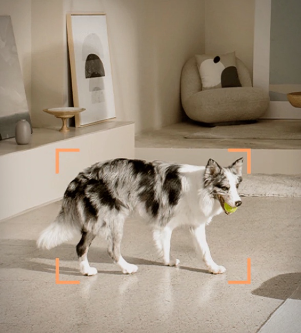eufy-pet-camera-4.jpg | Image